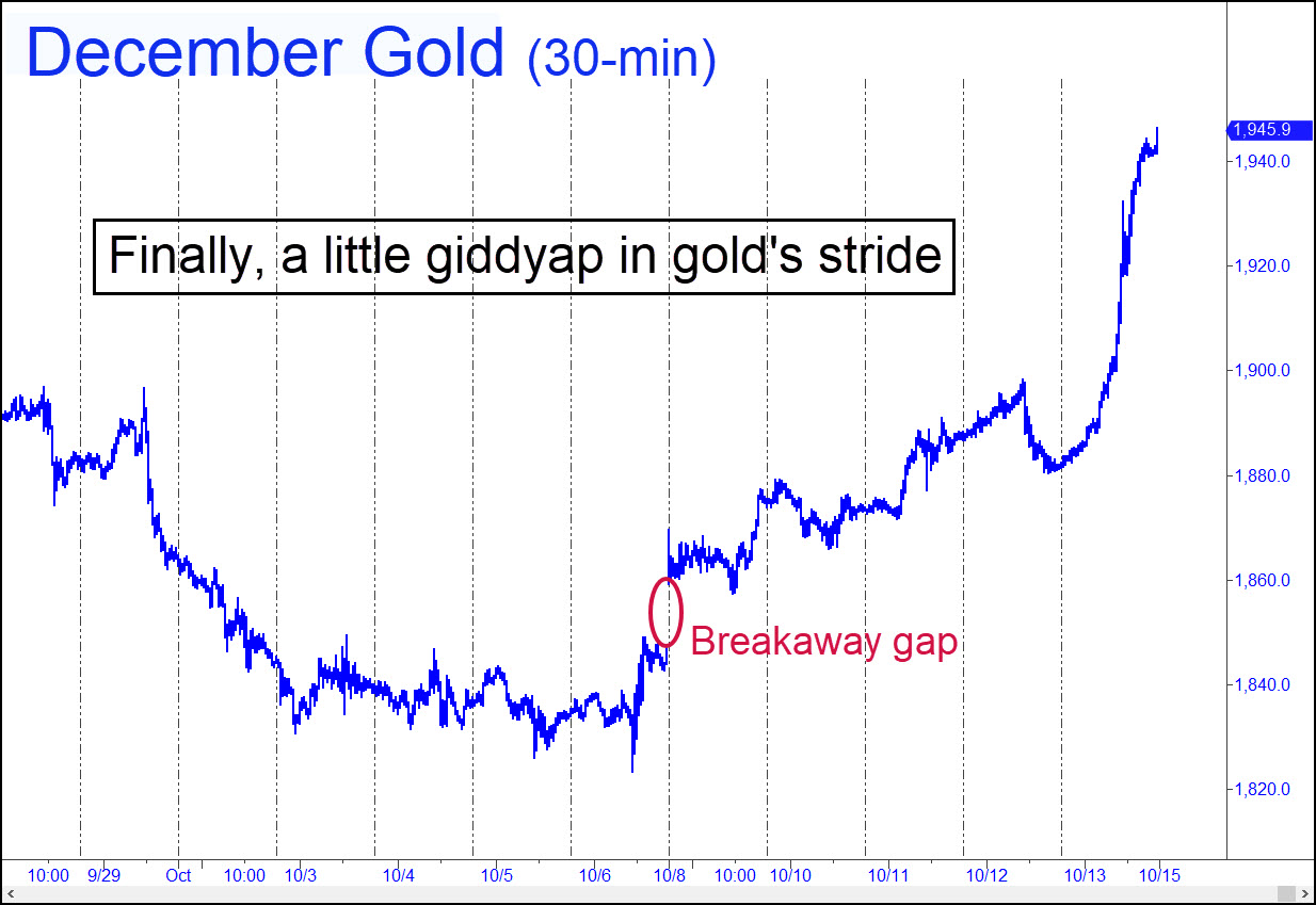 giddyap gold